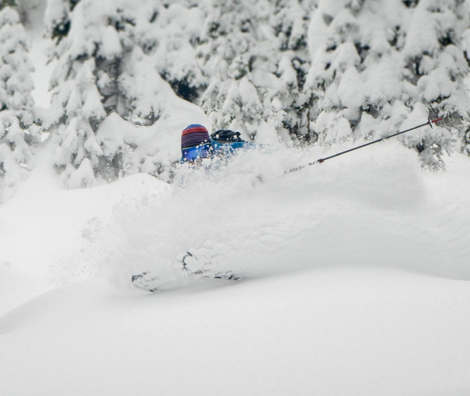 CJ Carter skiing Majesty Havoc