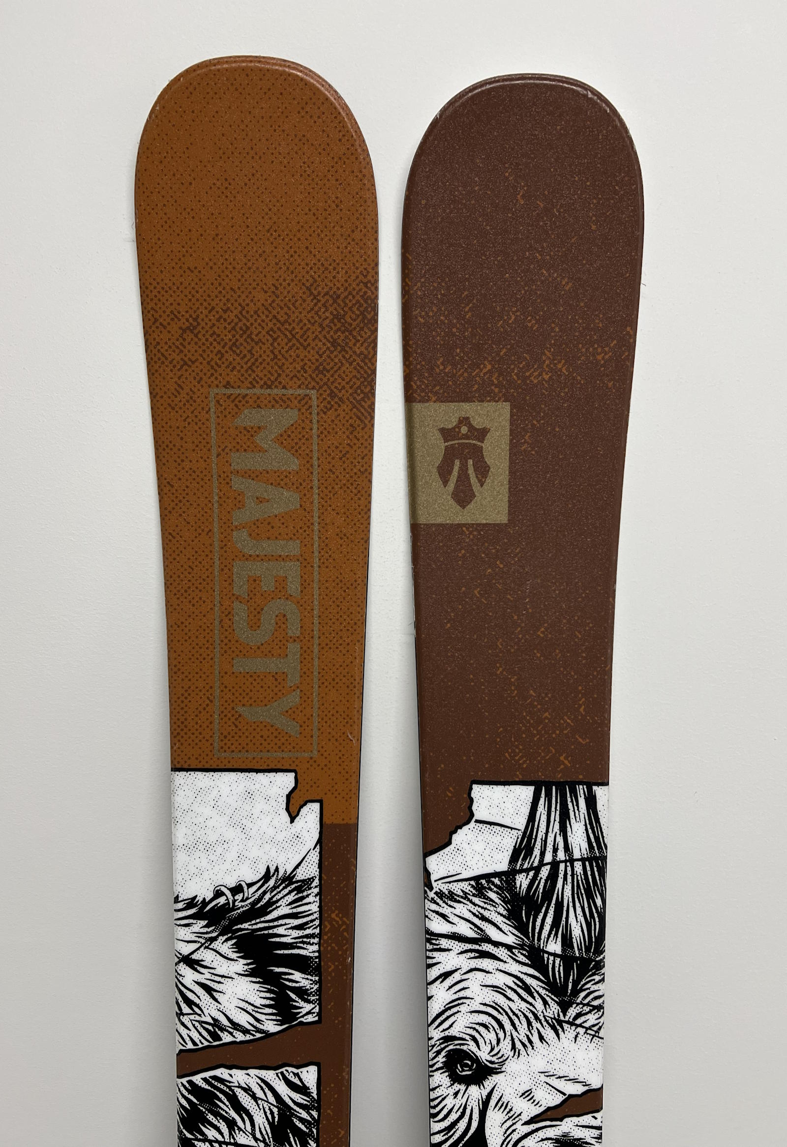 Dirty Bear XL Demo Skis – gently used