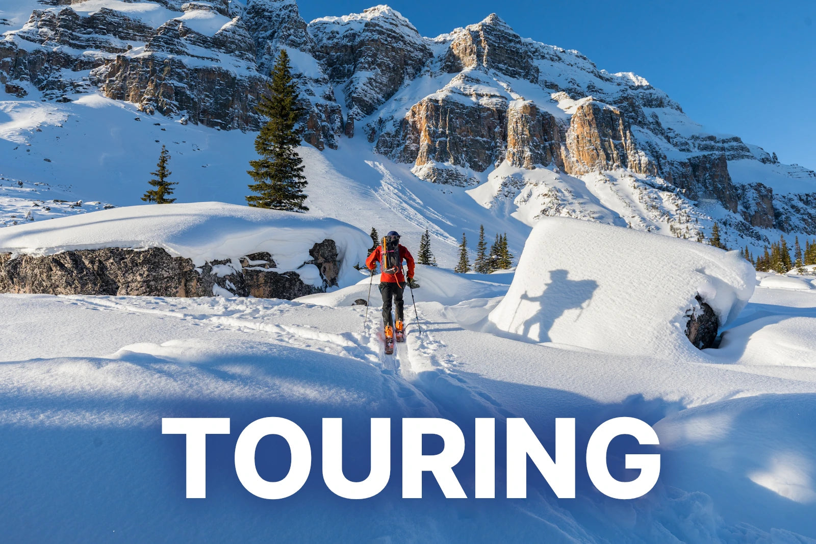 MAJESTY SKIS AMERICA MAJESTY SKIS AMERICA